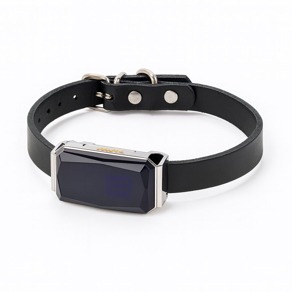 Obroża GPS dla psa z aplikacją mobilną – Lokalizator 4G